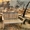 LA Fire Aftermath